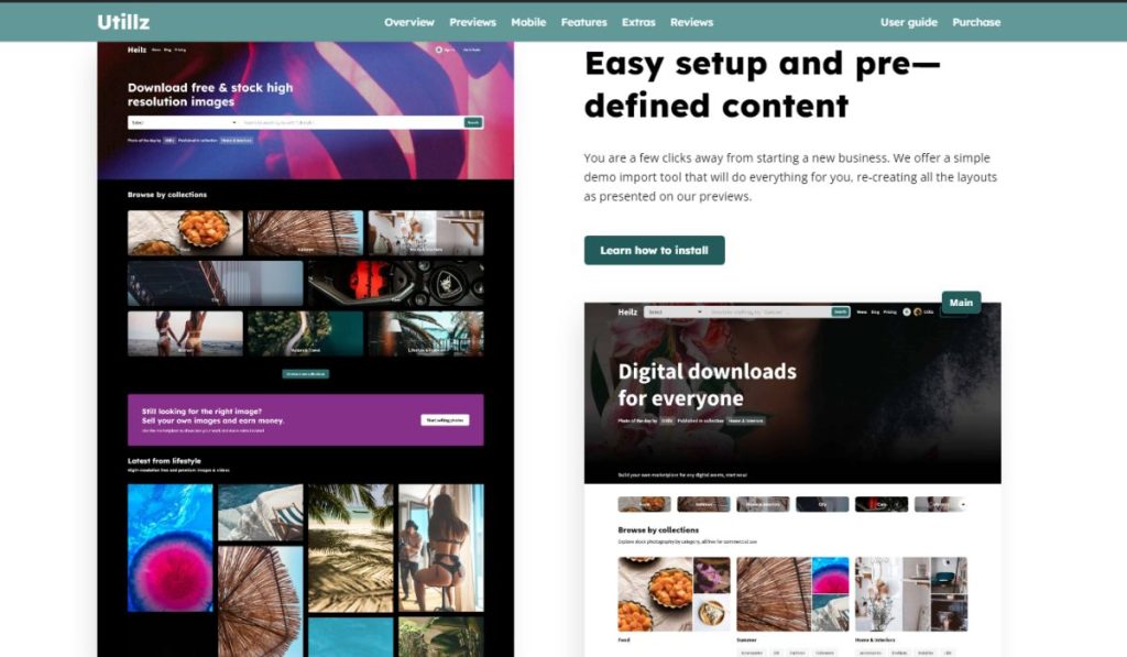 Premium WordPress Theme