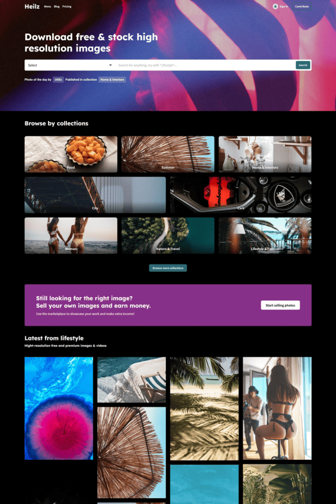Heilz theme demo showing a digital marketplace storefront with product grid and vendor dashboard